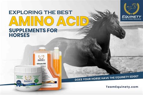 race horse vitamins|Vitamins for Horses .